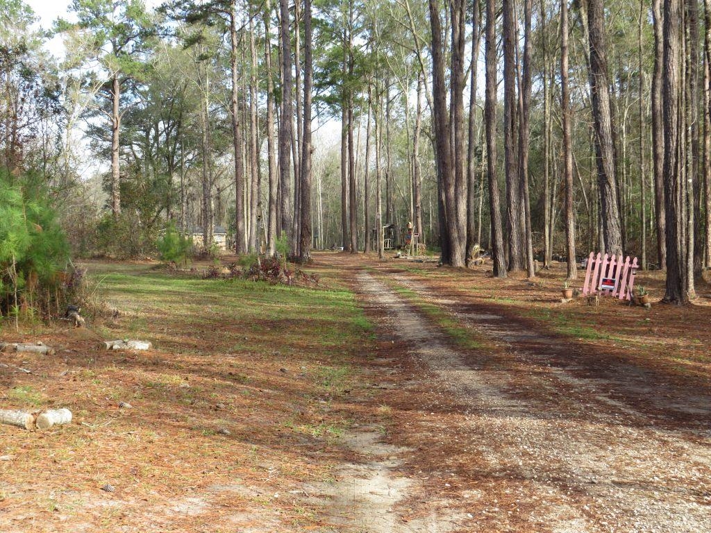 13637 North Meridian Road Tallahassee, FL 32312 - Photo 3 of 25 Gallery Image 3