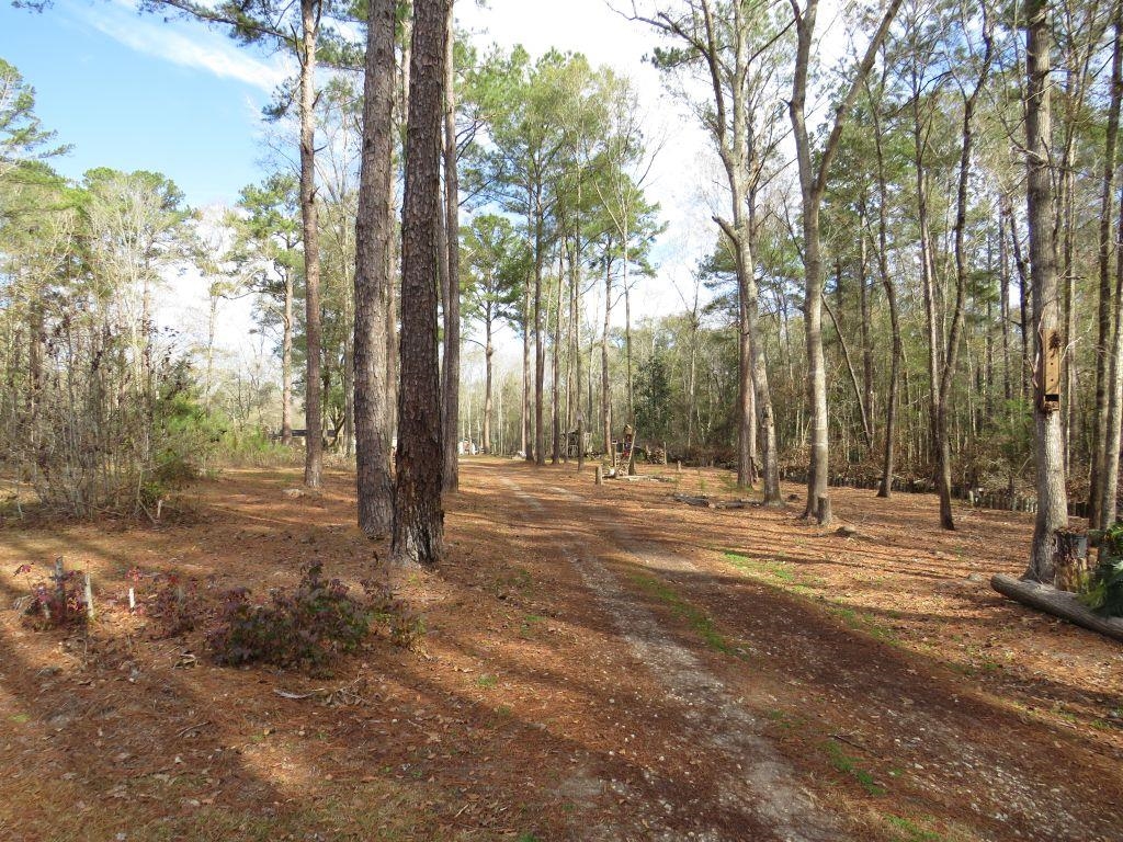 13637 North Meridian Road Tallahassee, FL 32312 - Photo 4 of 25 Gallery Image 4