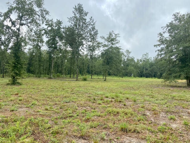 Tbd Redds Branch Road Aiken, SC 29801 - Photo 9 of 23