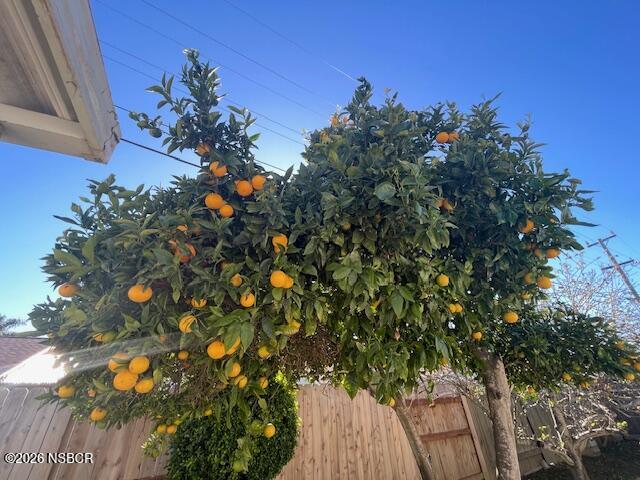 1012 West Anthony Way Lompoc, CA 93436 - Photo 35 of 38 a view of a tree