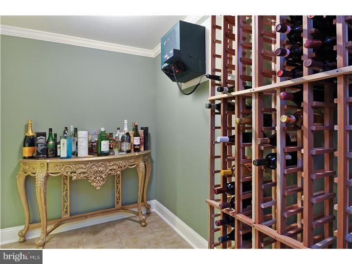 70 Carter Road Princeton, NJ 08540 - Photo 22 of 22 Wine Cellar