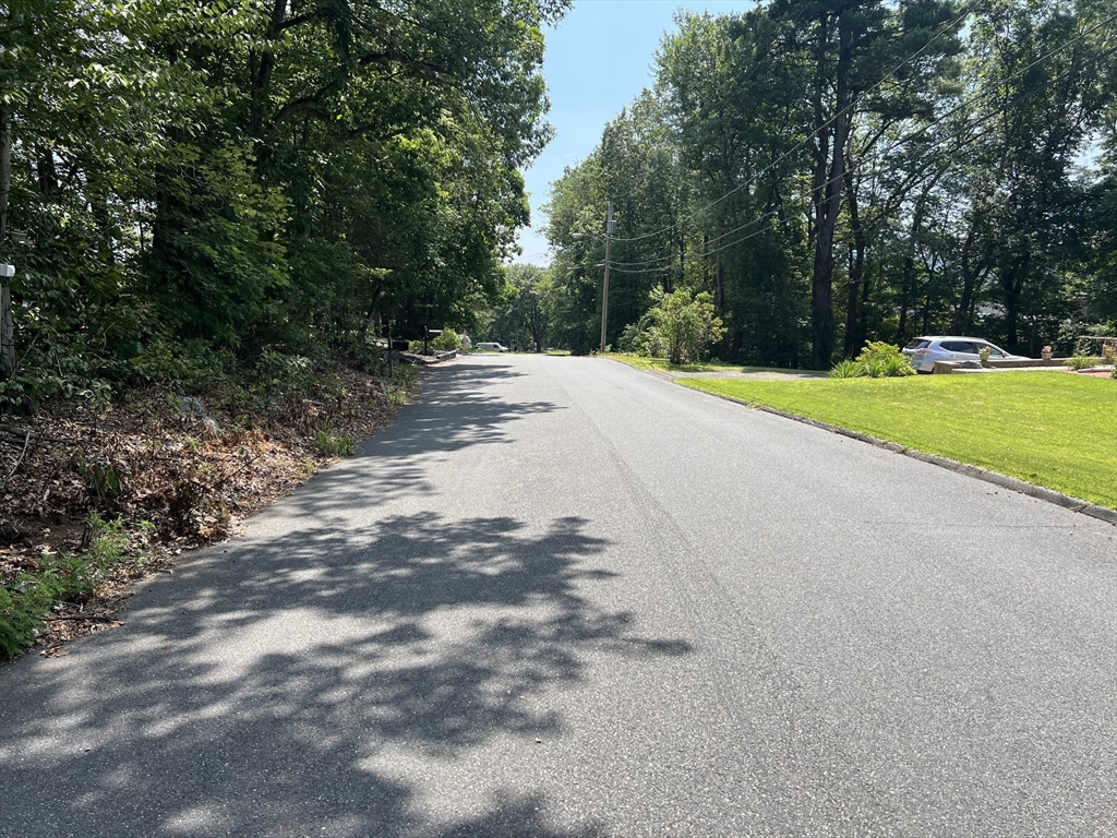 Lot 28 Tower Road Ludlow, MA 01056 - Photo 3 of 4 a view of a yard with potted plants and large trees