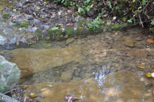 10.28-ac Campbell Hill Road Gainesboro, TN 38562 - Photo 11 of 44 DSC_0070