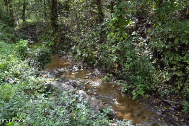 10.28-ac Campbell Hill Road Gainesboro, TN 38562 - Photo 12 of 44 DSC_0071