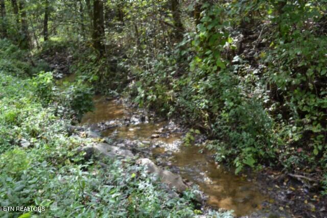 10.28-ac Campbell Hill Road Gainesboro, TN 38562 - Photo 13 of 44 DSC_0072