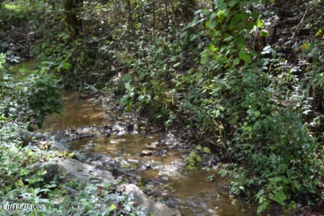 10.28-ac Campbell Hill Road Gainesboro, TN 38562 - Photo 16 of 44 DSC_0075