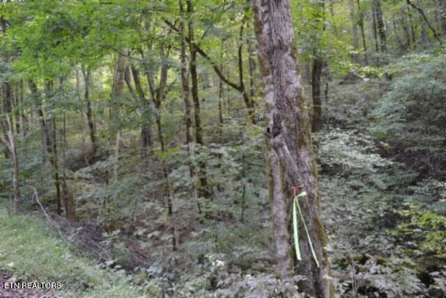 10.28-ac Campbell Hill Road Gainesboro, TN 38562 - Photo 20 of 44 DSC_0079