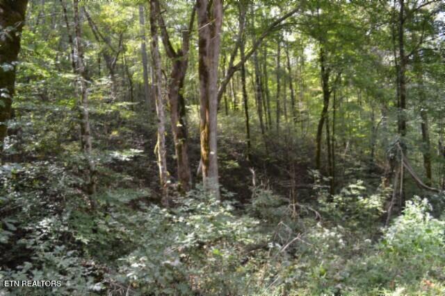 10.28-ac Campbell Hill Road Gainesboro, TN 38562 - Photo 24 of 44 DSC_0089