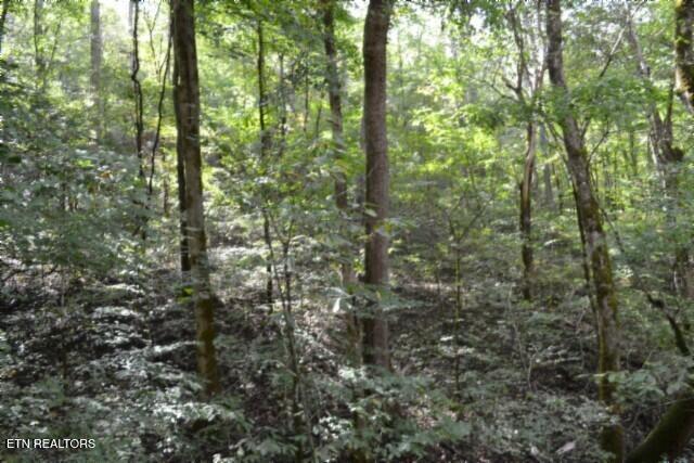 10.28-ac Campbell Hill Road Gainesboro, TN 38562 - Photo 26 of 44 DSC_0092