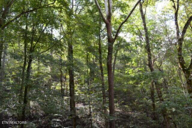 10.28-ac Campbell Hill Road Gainesboro, TN 38562 - Photo 27 of 44 DSC_0093