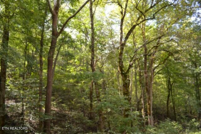 10.28-ac Campbell Hill Road Gainesboro, TN 38562 - Photo 29 of 44 DSC_0095