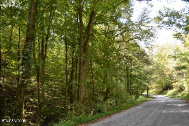 10.28-ac Campbell Hill Road Gainesboro, TN 38562 - Photo 30 of 44 DSC_0085