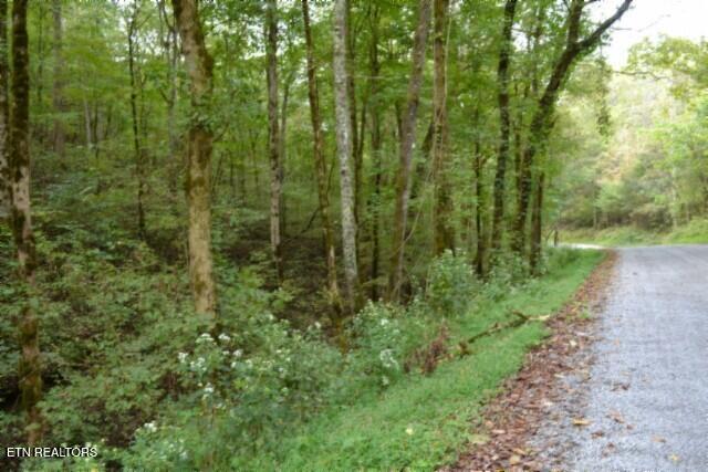 10.28-ac Campbell Hill Road Gainesboro, TN 38562 - Photo 33 of 44 DSC_0058