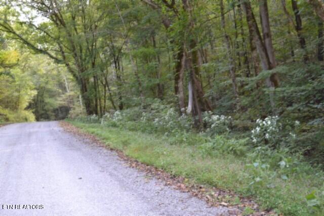 10.28-ac Campbell Hill Road Gainesboro, TN 38562 - Photo 35 of 44 DSC_0082