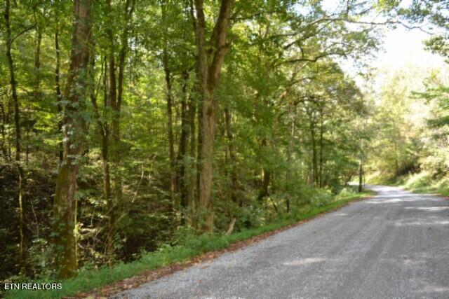 10.28-ac Campbell Hill Road Gainesboro, TN 38562 - Photo 39 of 44 DSC_0086