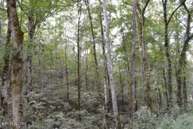 10.28-ac Campbell Hill Road Gainesboro, TN 38562 - Photo 4 of 44 DSC_0061