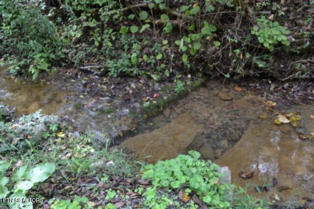 10.28-ac Campbell Hill Road Gainesboro, TN 38562 - Photo 6 of 44 DSC_0064