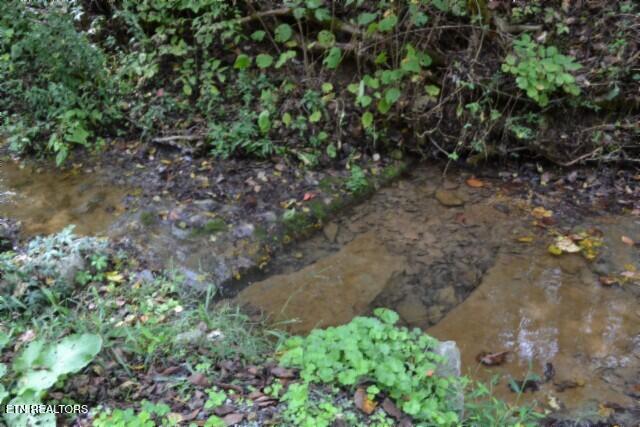 10.28-ac Campbell Hill Road Gainesboro, TN 38562 - Photo 7 of 44 DSC_0065