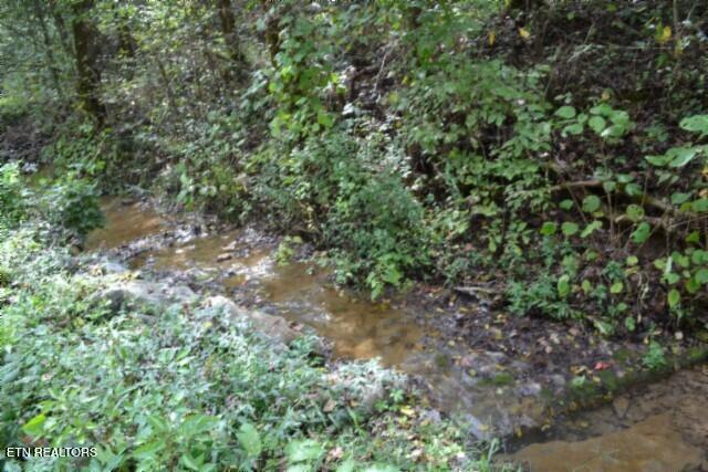 10.28-ac Campbell Hill Road Gainesboro, TN 38562 - Photo 8 of 44 DSC_0066