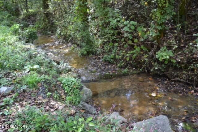 10.28-ac Campbell Hill Road Gainesboro, TN 38562 - Photo 9 of 44 DSC_0067