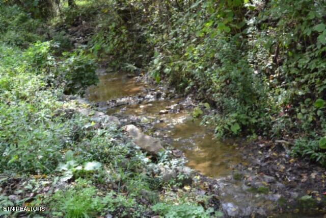 10.28-ac Campbell Hill Road Gainesboro, TN 38562 - Photo 10 of 44 DSC_0069