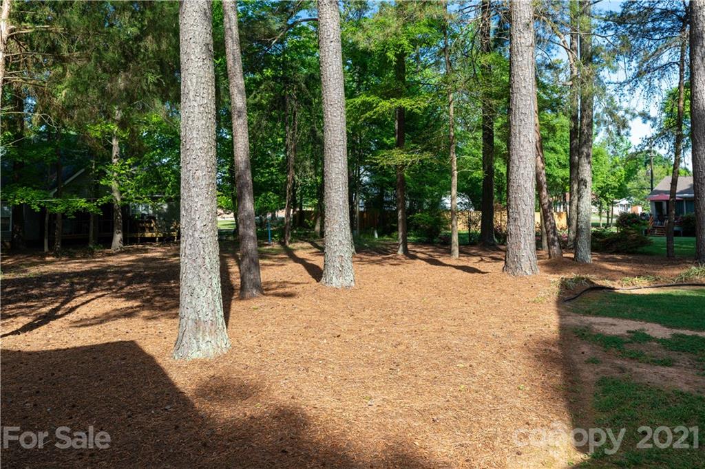11 Friendfield Court Fort Mill, SC 29715 - Photo 25 of 32 a view of a backyard with a garden