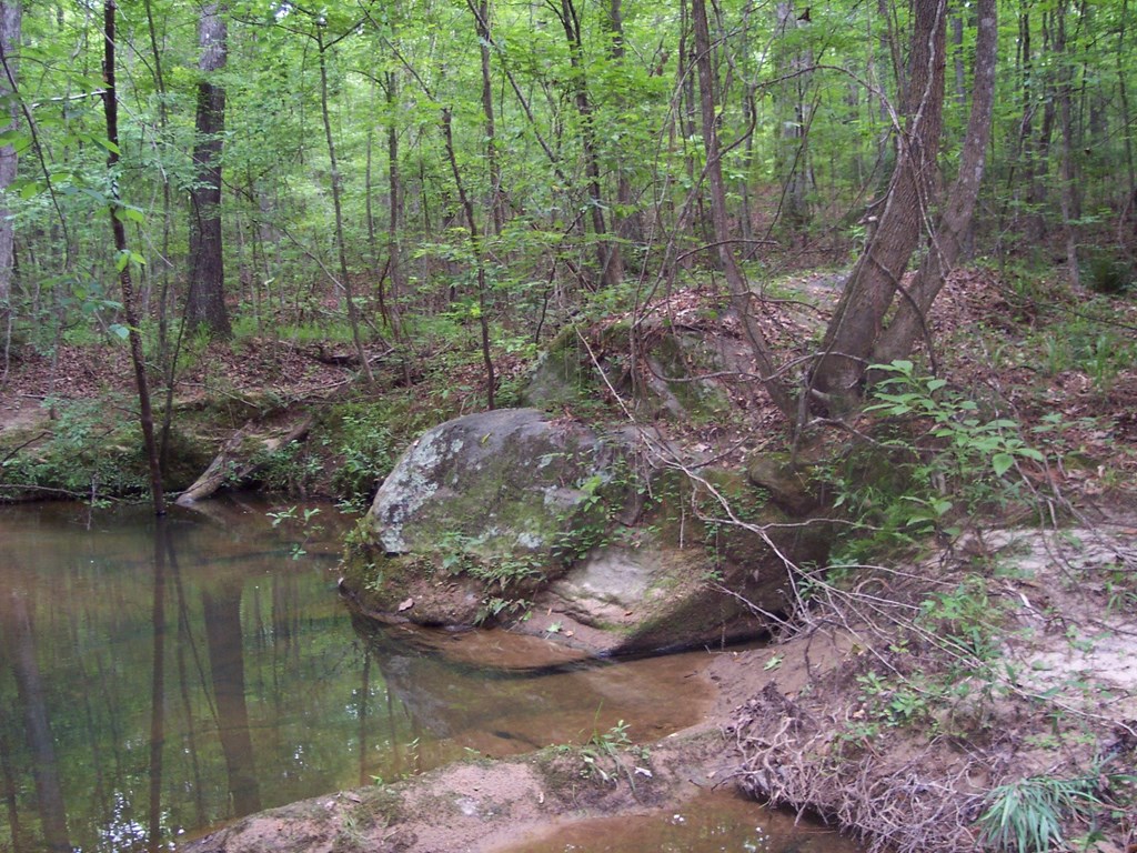 0 Chestnut Grove Road Shiloh, GA 31826 - Photo 11 of 19 upper creek