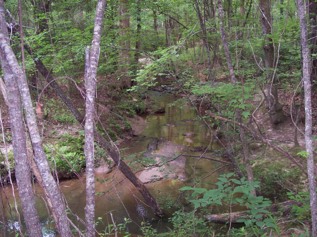 0 Chestnut Grove Road Shiloh, GA 31826 - Photo 12 of 19 upper creek