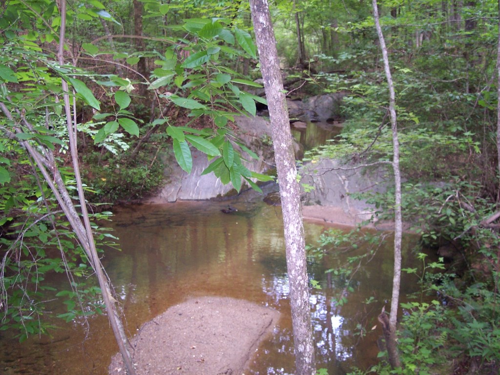 0 Chestnut Grove Road Shiloh, GA 31826 - Photo 13 of 19 upper creek