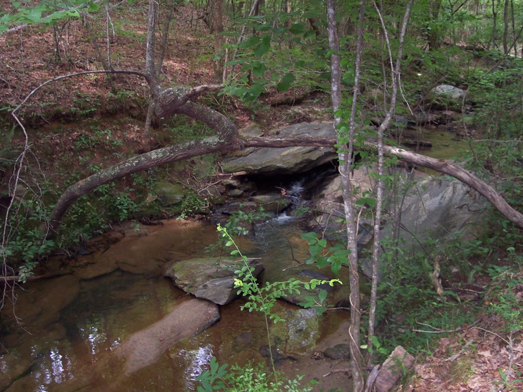 0 Chestnut Grove Road Shiloh, GA 31826 - Photo 14 of 19 upper creek