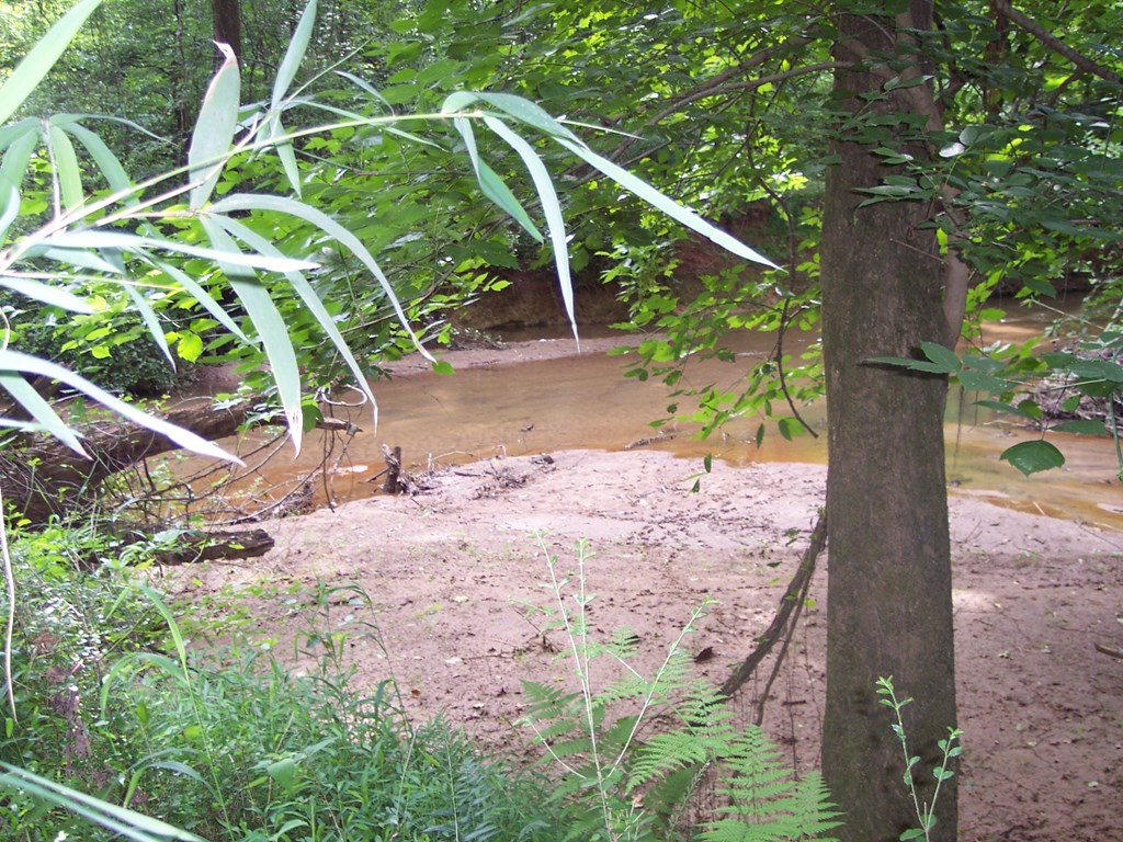 0 Chestnut Grove Road Shiloh, GA 31826 - Photo 15 of 19 Lazer Creek