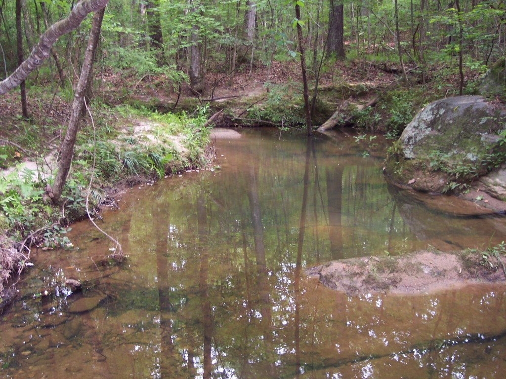 0 Chestnut Grove Road Shiloh, GA 31826 - Photo 16 of 19 Lazer Creek