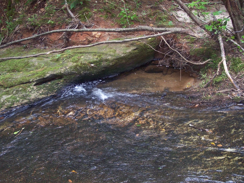 0 Chestnut Grove Road Shiloh, GA 31826 - Photo 17 of 19 rocks to play on