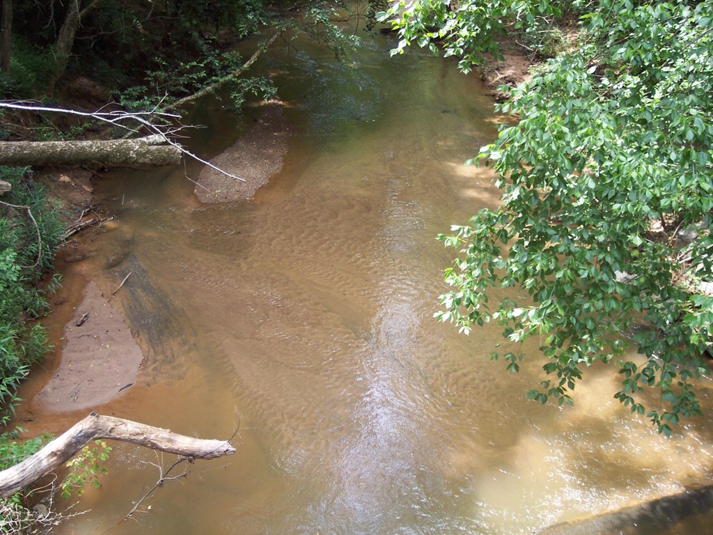 0 Chestnut Grove Road Shiloh, GA 31826 - Photo 18 of 19 Lazer Creek