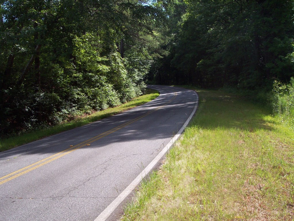 0 Chestnut Grove Road Shiloh, GA 31826 - Photo 19 of 19 Chestnut Grove Road