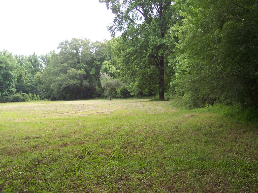 0 Chestnut Grove Road Shiloh, GA 31826 - Photo 3 of 19 another view