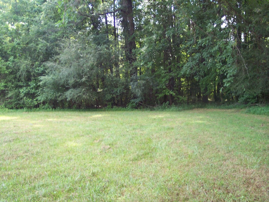 0 Chestnut Grove Road Shiloh, GA 31826 - Photo 4 of 19 another view