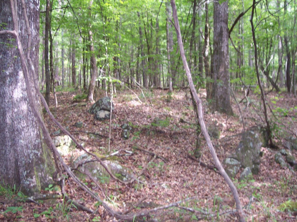 0 Chestnut Grove Road Shiloh, GA 31826 - Photo 8 of 19