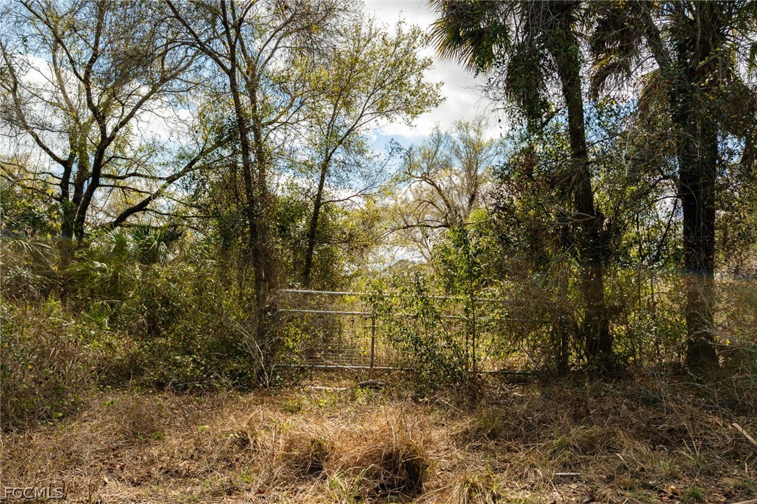 3751 Bateman Road Alva, FL 33920 - Photo 4 of 26 a view of a yard with large trees