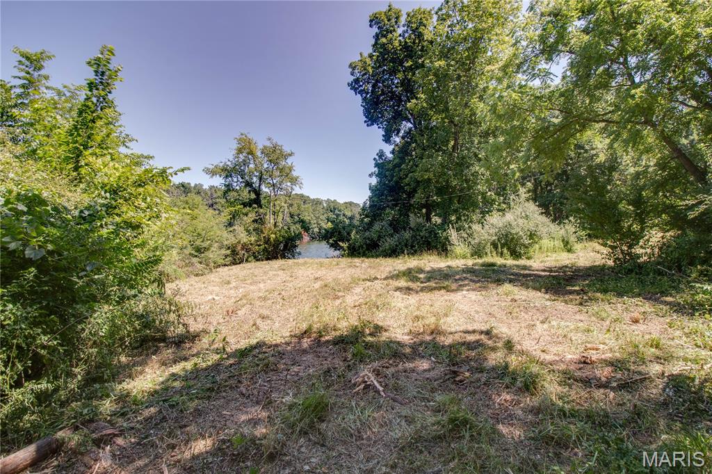 9368 Rhea Park Road Loami, IL 62661 - Photo 43 of 54