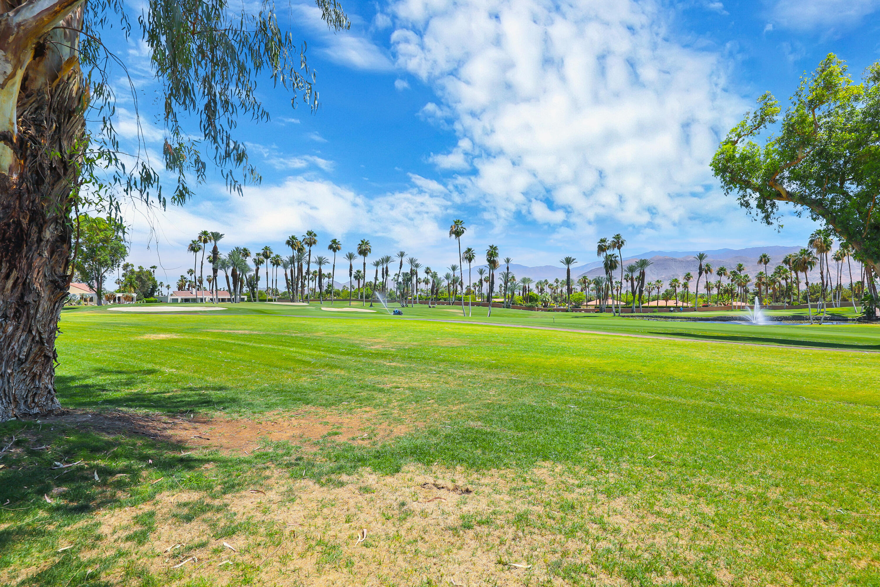 829 Inverness Drive Rancho Mirage, CA 92270 - Photo 47 of 53 Inverness829rs#13