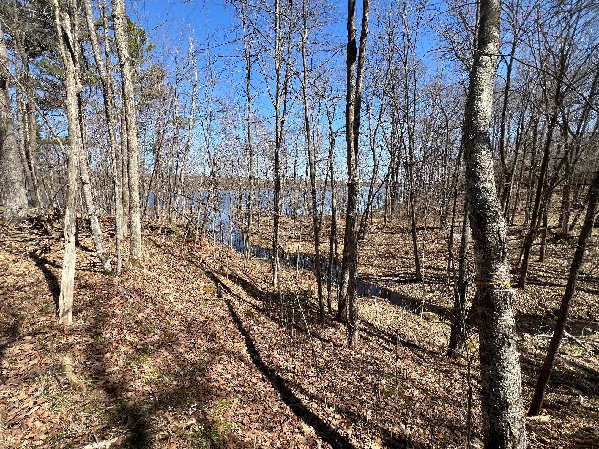 43-tbd Red Oak Lane Stone Lake, WI 54876 - Photo 3 of 22