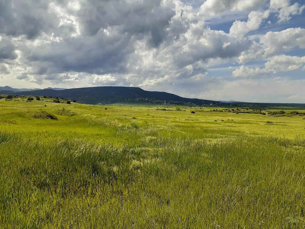 Tbd Apollo Circle Rye, CO 81069 - Photo 11 of 11