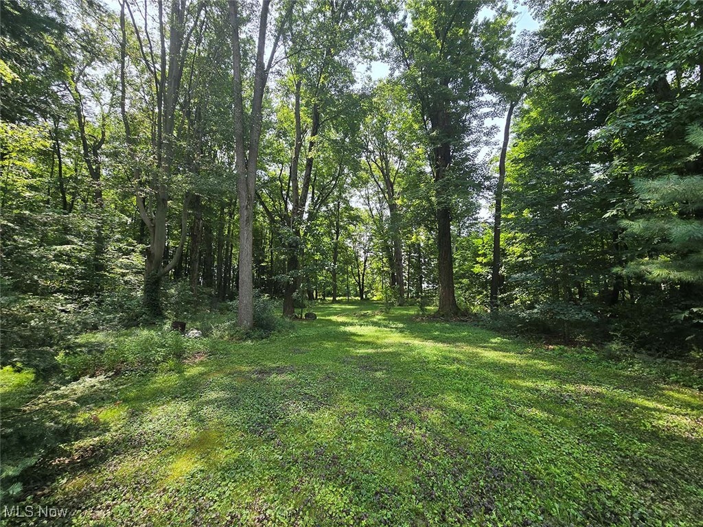 4380 Harner Road Mantua, OH 44255 - Photo 4 of 19 View of green lawn with a wooded view
