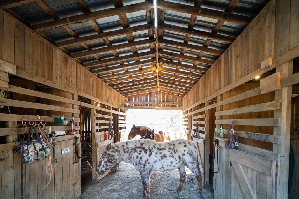 462 Cross Road Bean Station, TN 37708 - Photo 47 of 63 Gallery Image 47