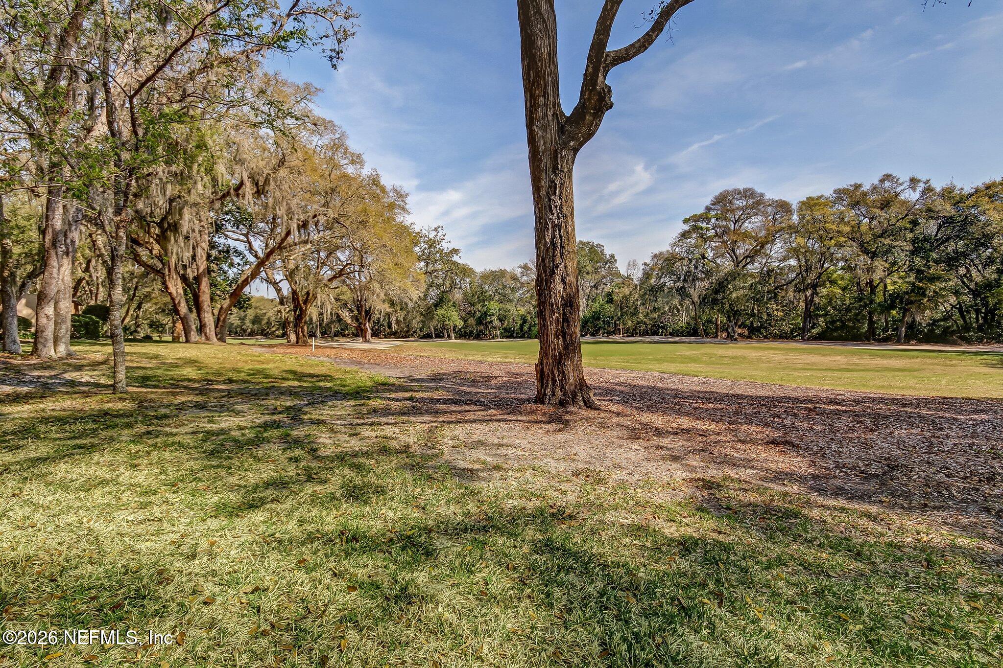 3323 Sea Marsh Road Fernandina Beach, FL 32034 - Photo 25 of 46 Drink in the fairways.