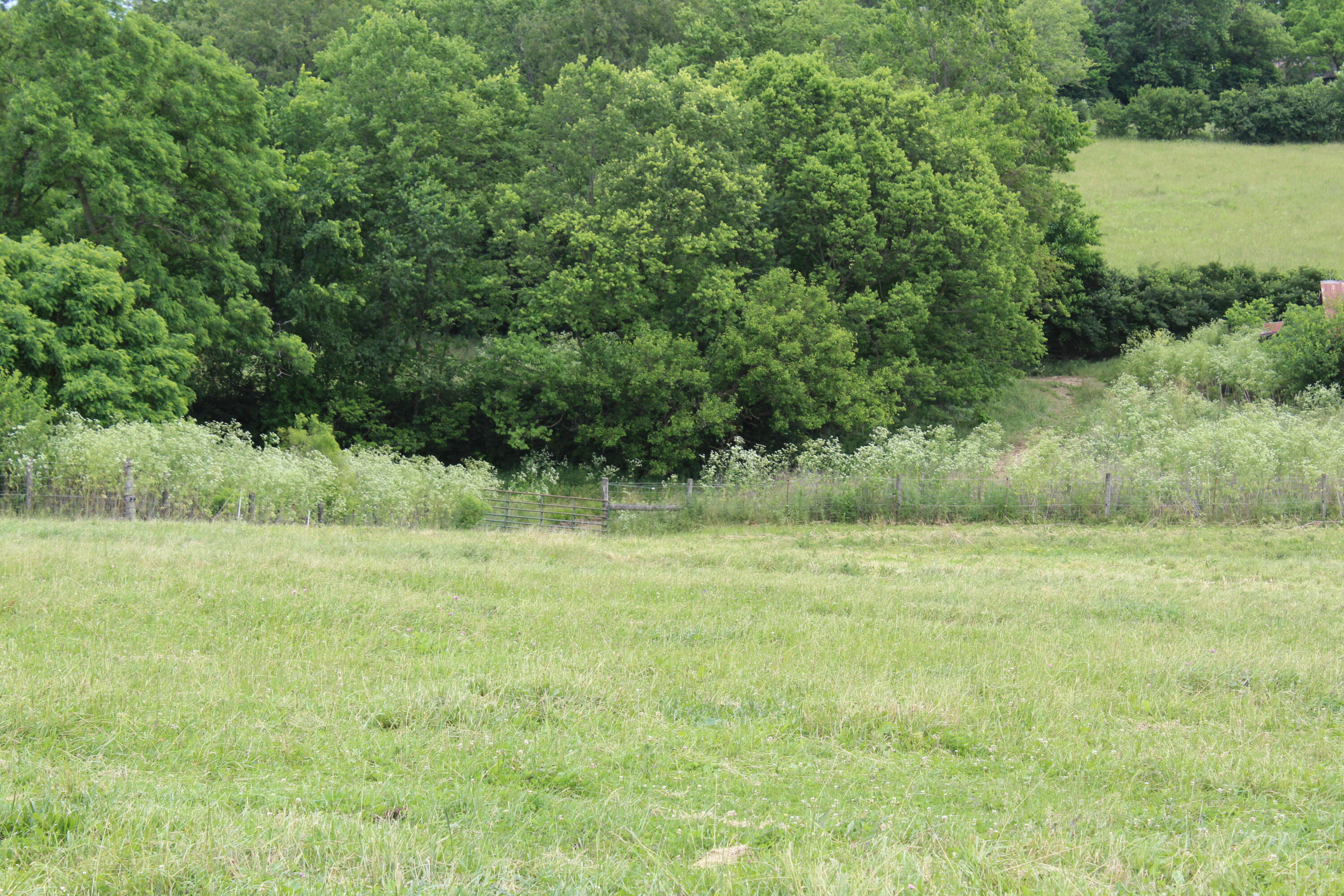 187 Jackstown Road Paris, KY 40361 - Photo 12 of 18 IMG_2801