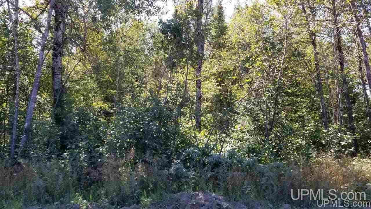 Tbd Fishing Site Road, Unit 1 Amasa, MI 49903 - Photo 15 of 19
