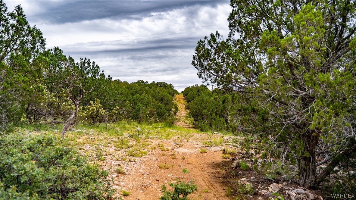 0 Kiva Road Kingman, AZ 86401 - Photo 20 of 42