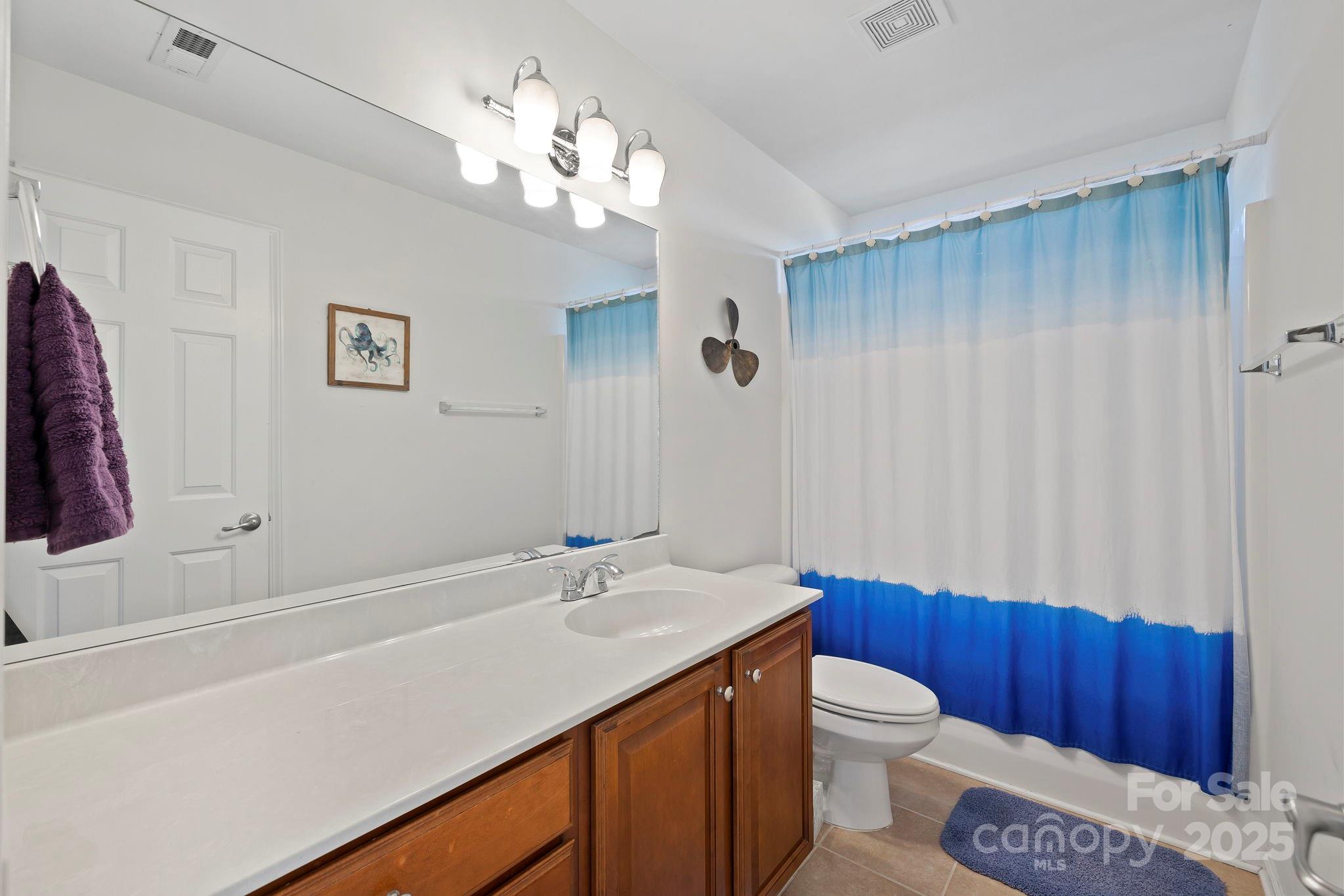 258 Lumber River Road Fletcher, NC 28732 - Photo 32 of 44 a bathroom with a sink a toilet and shower